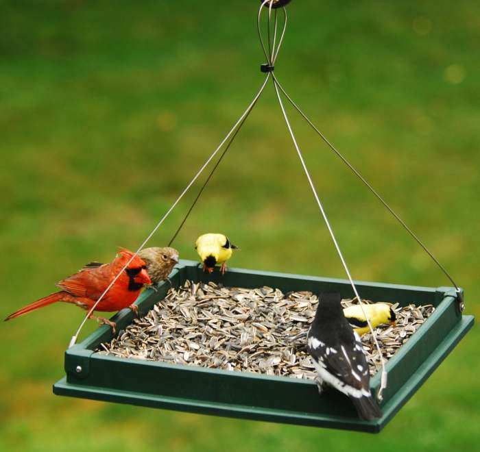 Recycled Small Hanging Platform Feeder Hunter